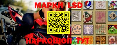 сатива Будённовск