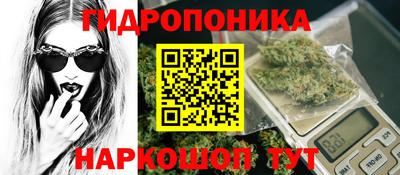 сатива Будённовск