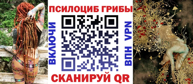 Псилоцибиновые грибы Psilocybine cubensis Лянтор